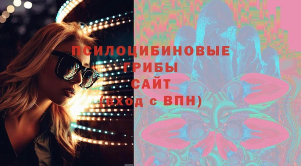 гидра Алзамай