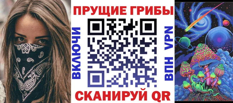 Псилоцибиновые грибы GOLDEN TEACHER  shop наркотические препараты  Октябрьский  наркотики 